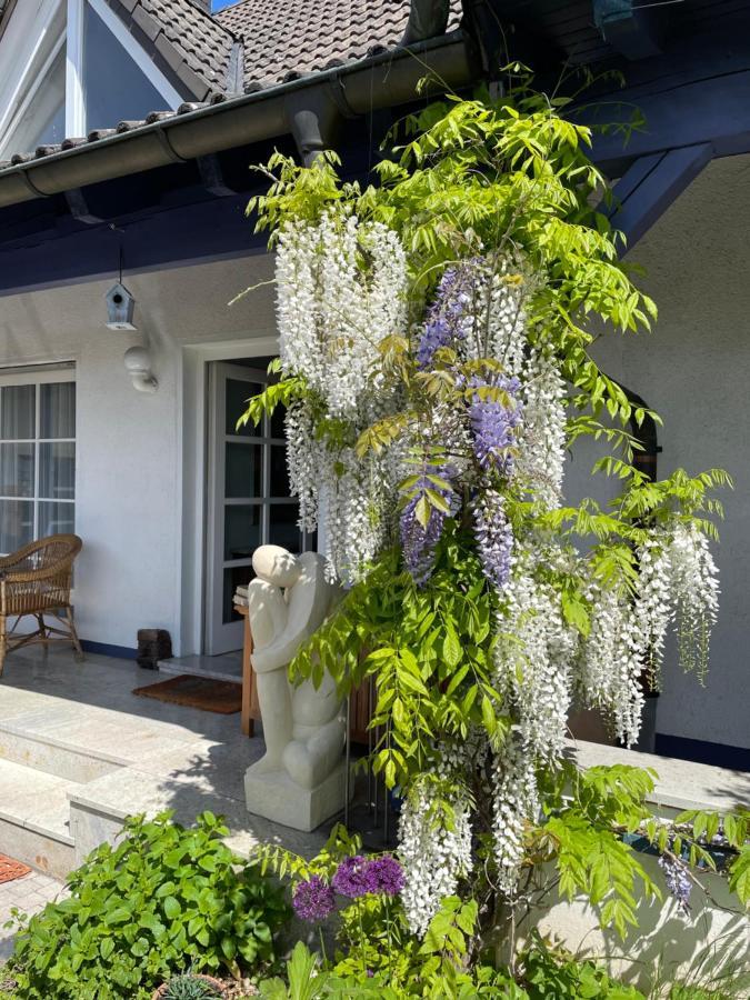 Gaensebluemchen 2 Apartment Daisy 2 Walsdorf  Dış mekan fotoğraf